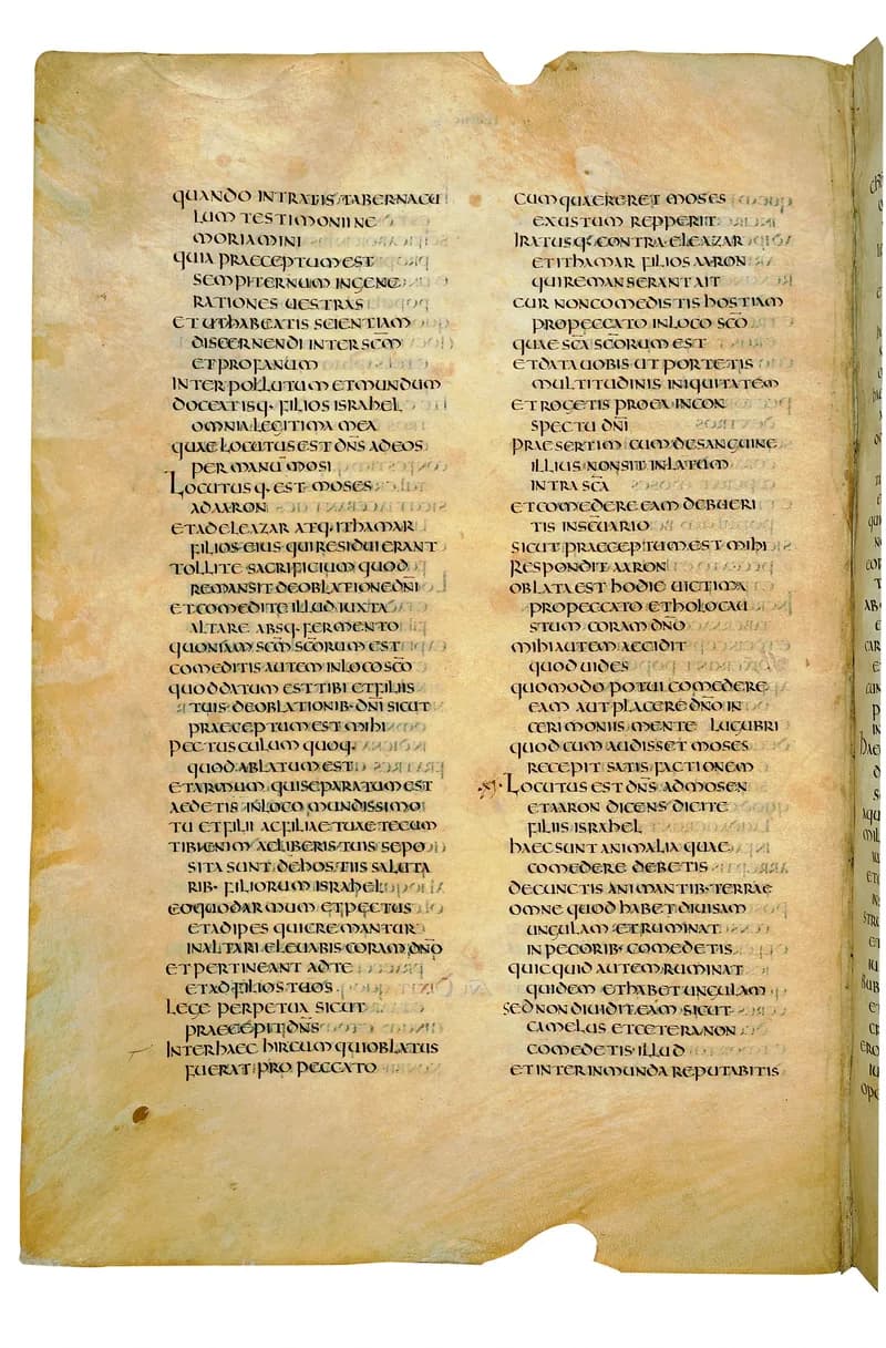 Codex Amiatinus, Leviticus 27 (canvas 184) by Master of the Codex Amiatinus (Monkwearmouth-Jarrow scriptorium) depicting Leviticus 27