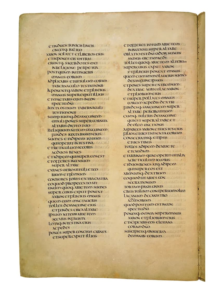 Codex Amiatinus, Leviticus 4 (canvas 148) by Master of the Codex Amiatinus (Monkwearmouth-Jarrow scriptorium) depicting Leviticus 4