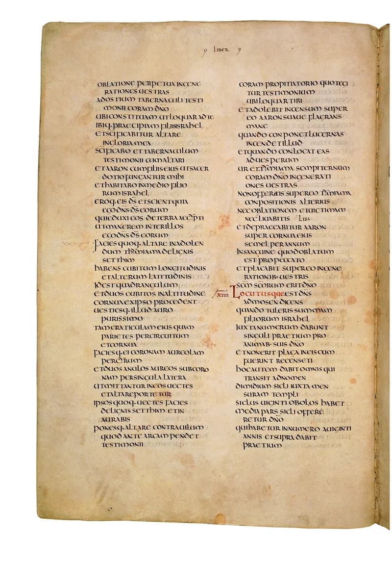 Codex Amiatinus, Leviticus 5 (canvas 150) by Master of the Codex Amiatinus (Monkwearmouth-Jarrow scriptorium) depicting Leviticus 5