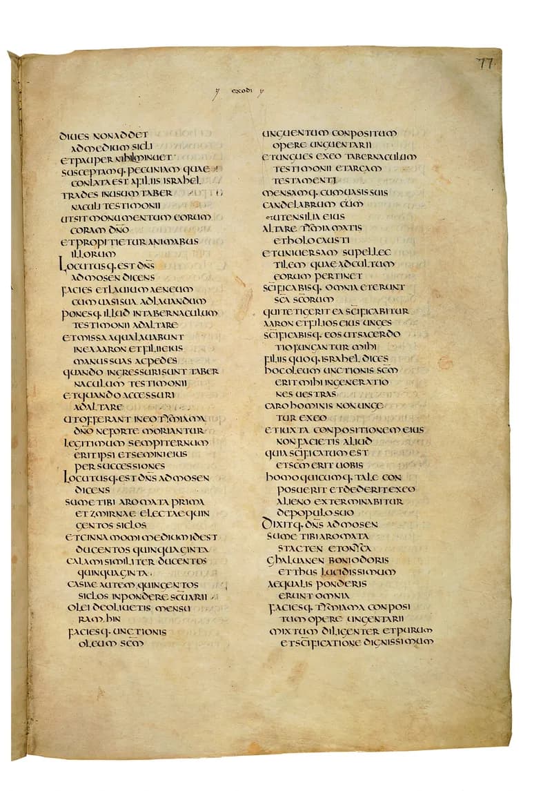Codex Amiatinus, Leviticus 6 (canvas 151) by Master of the Codex Amiatinus (Monkwearmouth-Jarrow scriptorium) depicting Leviticus 6