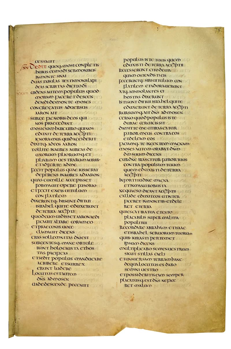 Codex Amiatinus, Leviticus 7 (canvas 153) by Master of the Codex Amiatinus (Monkwearmouth-Jarrow scriptorium) depicting Leviticus 7