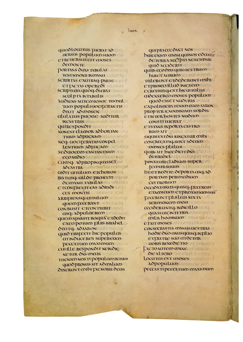 Codex Amiatinus, Leviticus 8 (canvas 154) by Master of the Codex Amiatinus (Monkwearmouth-Jarrow scriptorium) depicting Leviticus 8
