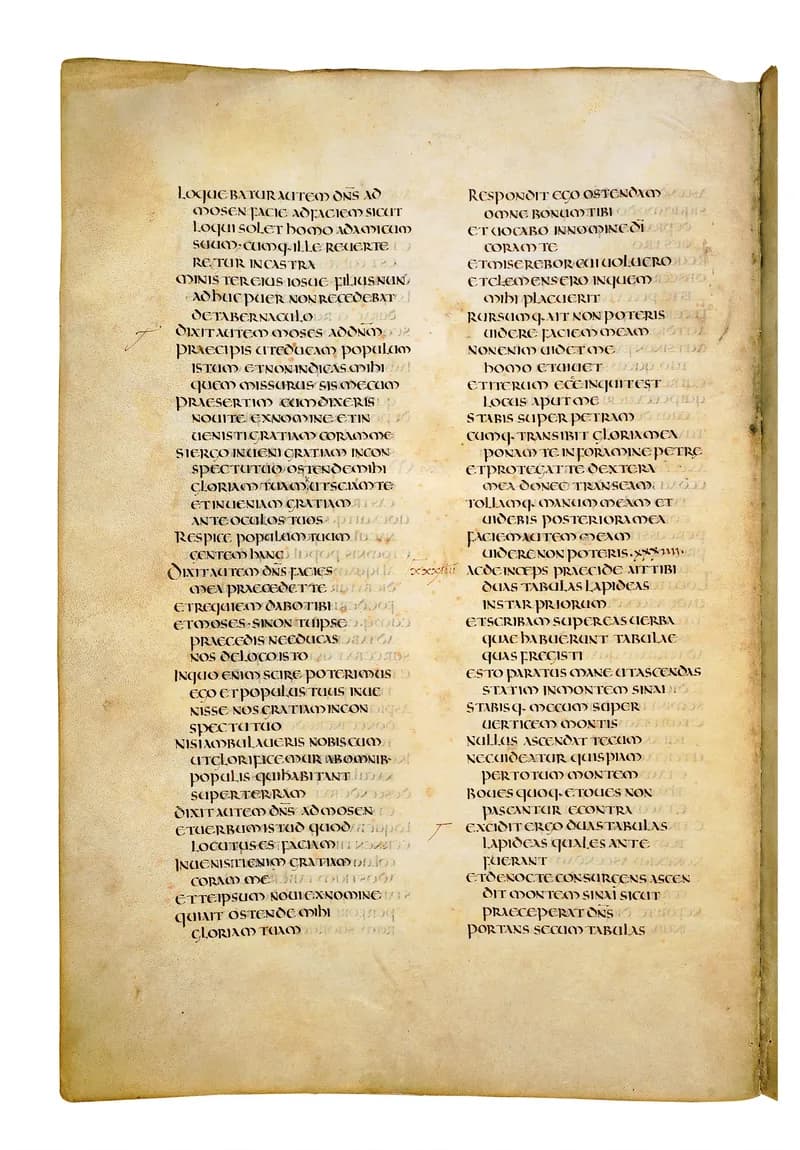 Codex Amiatinus, Leviticus 9 (canvas 156) by Master of the Codex Amiatinus (Monkwearmouth-Jarrow scriptorium) depicting Leviticus 9
