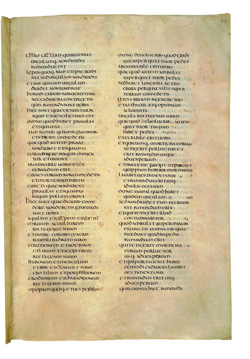 Codex Amiatinus, Numbers 1 (canvas 185) by Master of the Codex Amiatinus (Monkwearmouth-Jarrow scriptorium) depicting Numbers 1