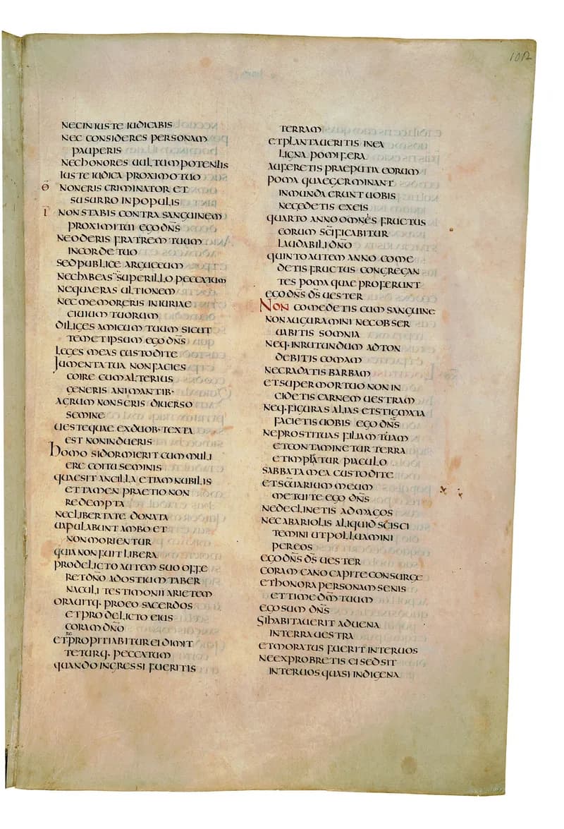 Codex Amiatinus, Numbers 11 (canvas 201) by Master of the Codex Amiatinus (Monkwearmouth-Jarrow scriptorium) depicting Numbers 11