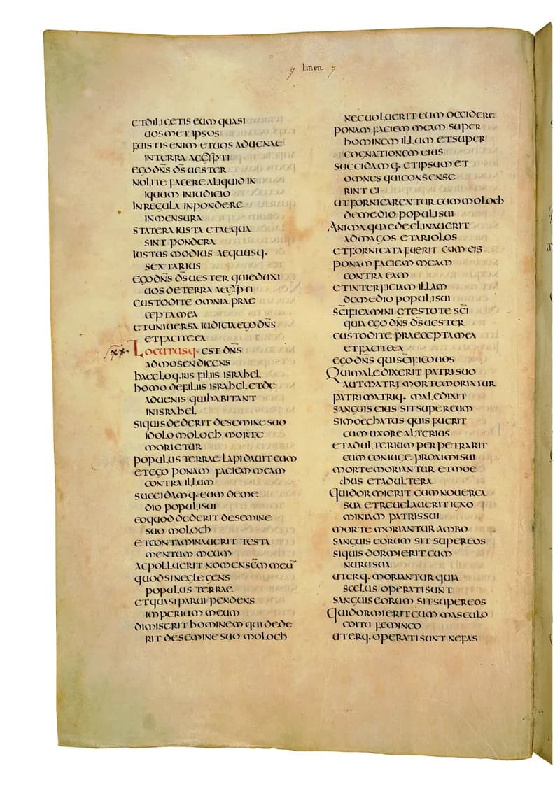 Codex Amiatinus, Numbers 12 (canvas 202) by Master of the Codex Amiatinus (Monkwearmouth-Jarrow scriptorium) depicting Numbers 12