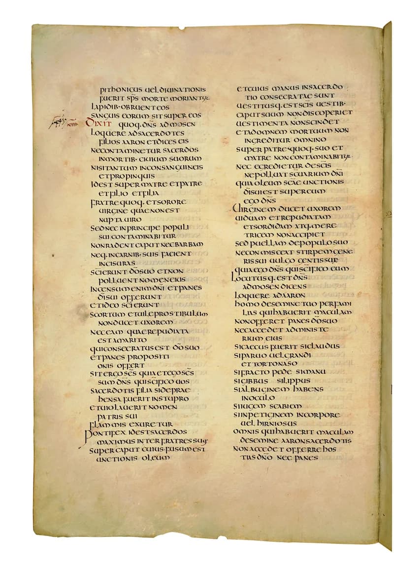 Codex Amiatinus, Numbers 13 (canvas 204) by Master of the Codex Amiatinus (Monkwearmouth-Jarrow scriptorium) depicting Numbers 13