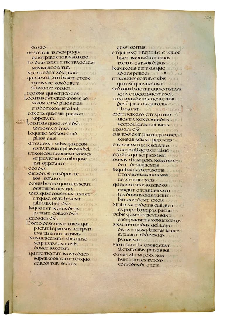 Codex Amiatinus, Numbers 14 (canvas 205) by Master of the Codex Amiatinus (Monkwearmouth-Jarrow scriptorium) depicting Numbers 14