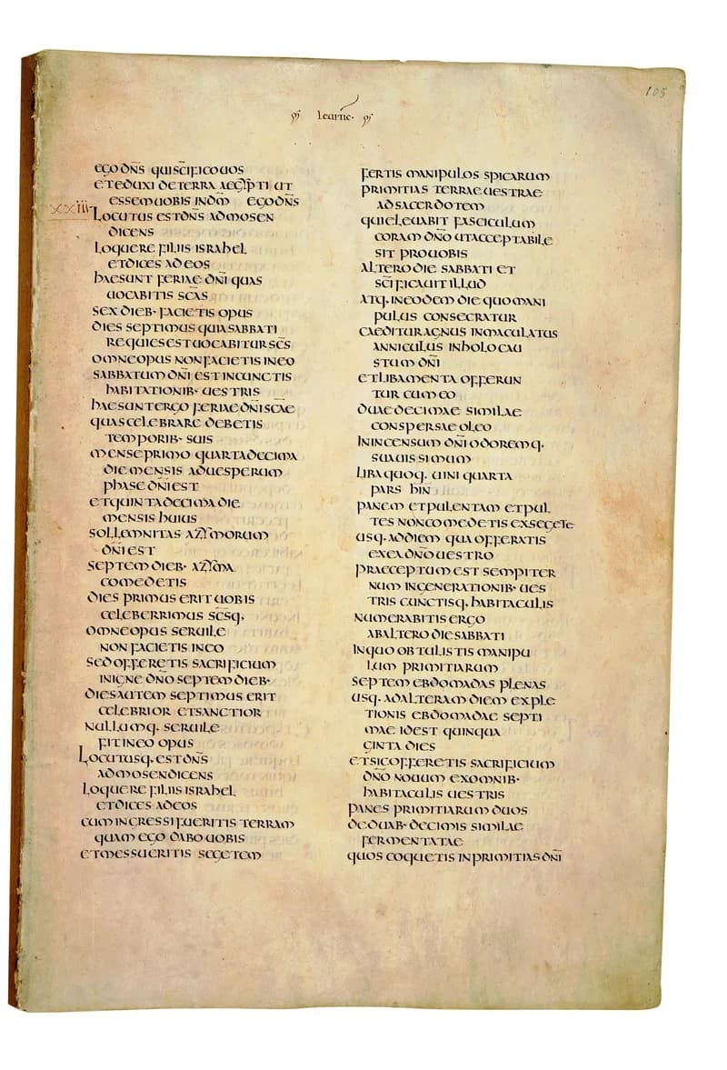Codex Amiatinus, Numbers 15 (canvas 207) by Master of the Codex Amiatinus (Monkwearmouth-Jarrow scriptorium) depicting Numbers 15
