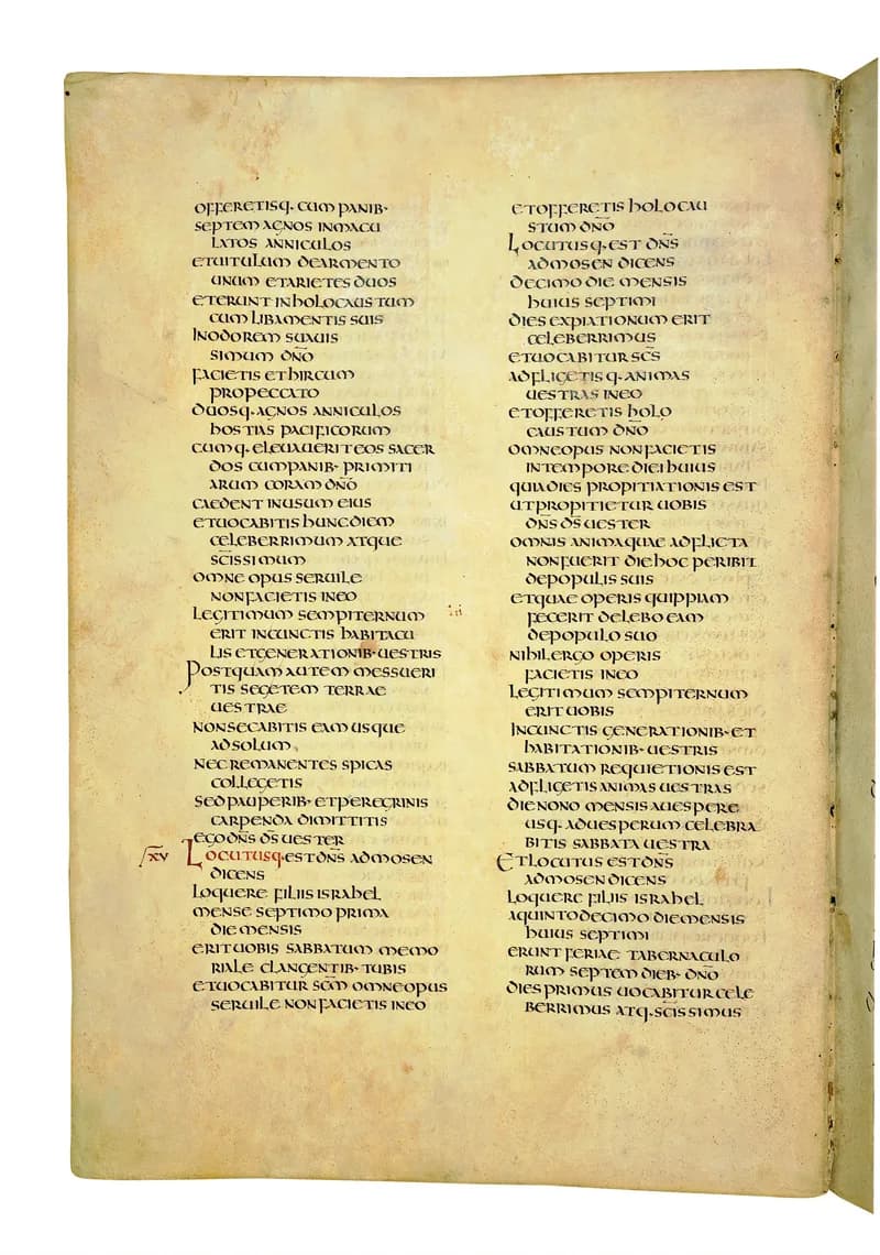 Codex Amiatinus, Numbers 16 (canvas 208) by Master of the Codex Amiatinus (Monkwearmouth-Jarrow scriptorium) depicting Numbers 16