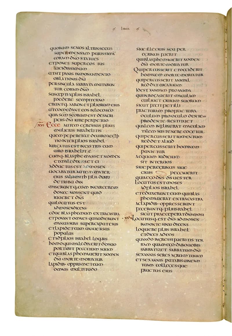 Codex Amiatinus, Numbers 17 (canvas 210) by Master of the Codex Amiatinus (Monkwearmouth-Jarrow scriptorium) depicting Numbers 17
