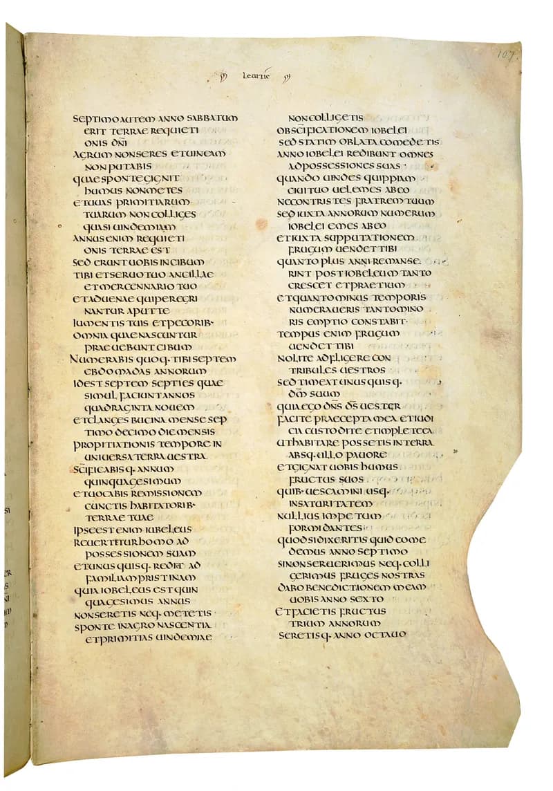 Codex Amiatinus, Numbers 18 (canvas 211) by Master of the Codex Amiatinus (Monkwearmouth-Jarrow scriptorium) depicting Numbers 18