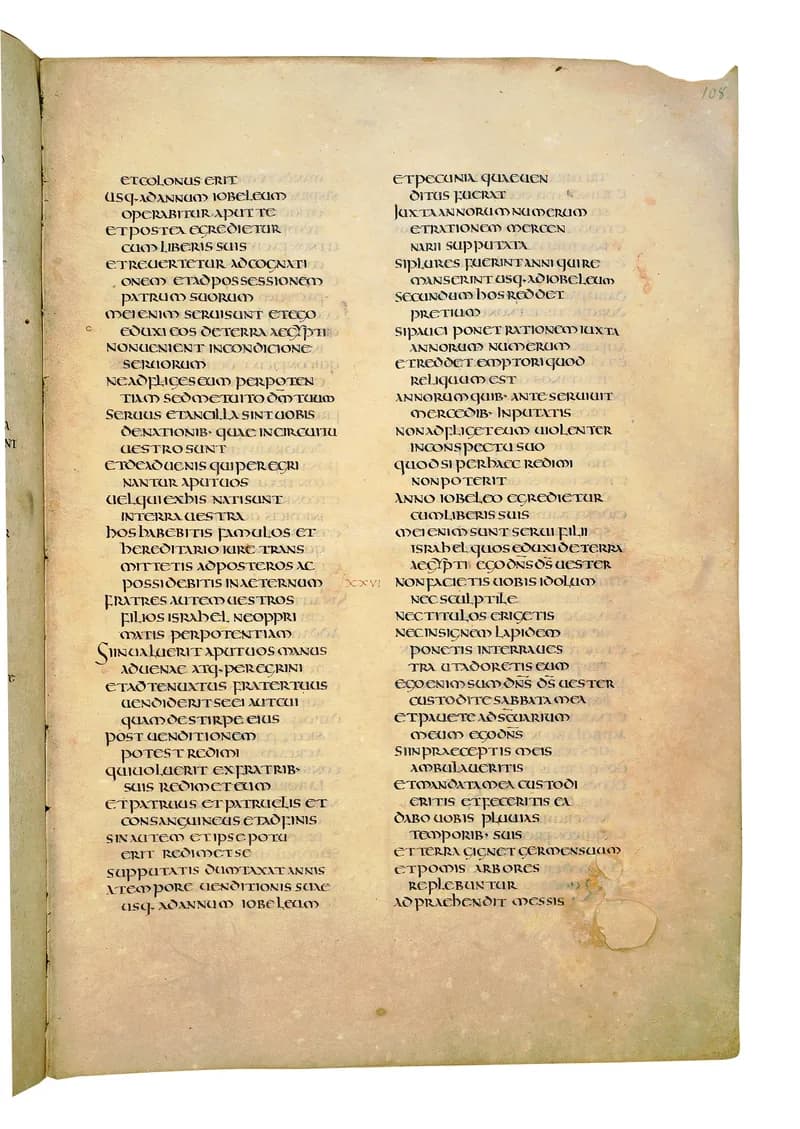 Codex Amiatinus, Numbers 19 (canvas 213) by Master of the Codex Amiatinus (Monkwearmouth-Jarrow scriptorium) depicting Numbers 19