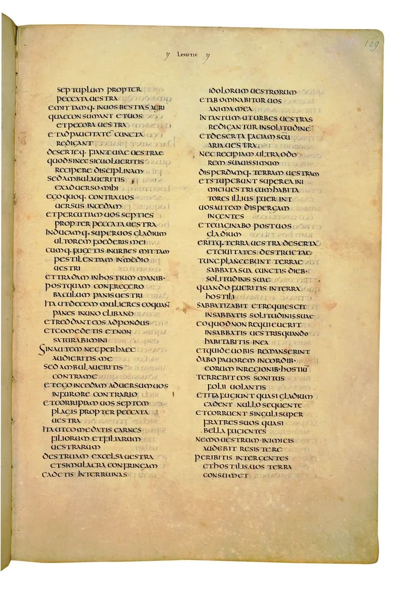 Codex Amiatinus, Numbers 20 (canvas 215) by Master of the Codex Amiatinus (Monkwearmouth-Jarrow scriptorium) depicting Numbers 20