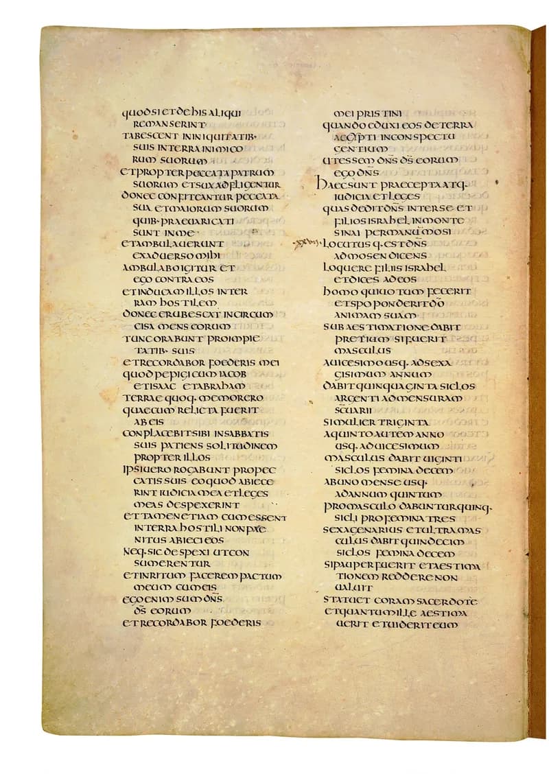 Codex Amiatinus, Numbers 21 (canvas 216) by Master of the Codex Amiatinus (Monkwearmouth-Jarrow scriptorium) depicting Numbers 21