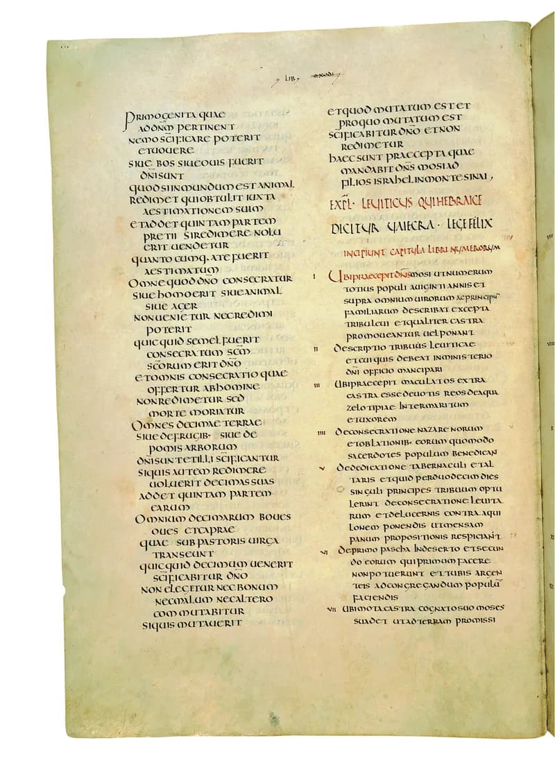 Codex Amiatinus, Numbers 22 (canvas 218) by Master of the Codex Amiatinus (Monkwearmouth-Jarrow scriptorium) depicting Numbers 22