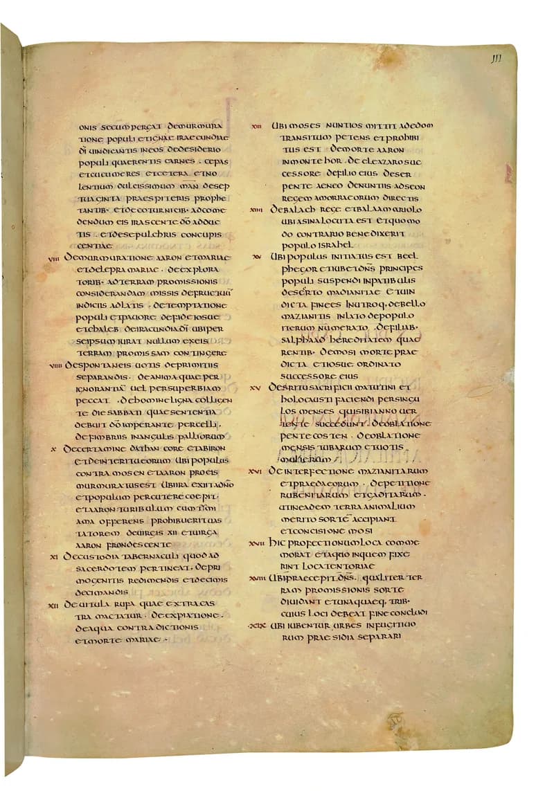 Codex Amiatinus, Numbers 23 (canvas 219) by Master of the Codex Amiatinus (Monkwearmouth-Jarrow scriptorium) depicting Numbers 23