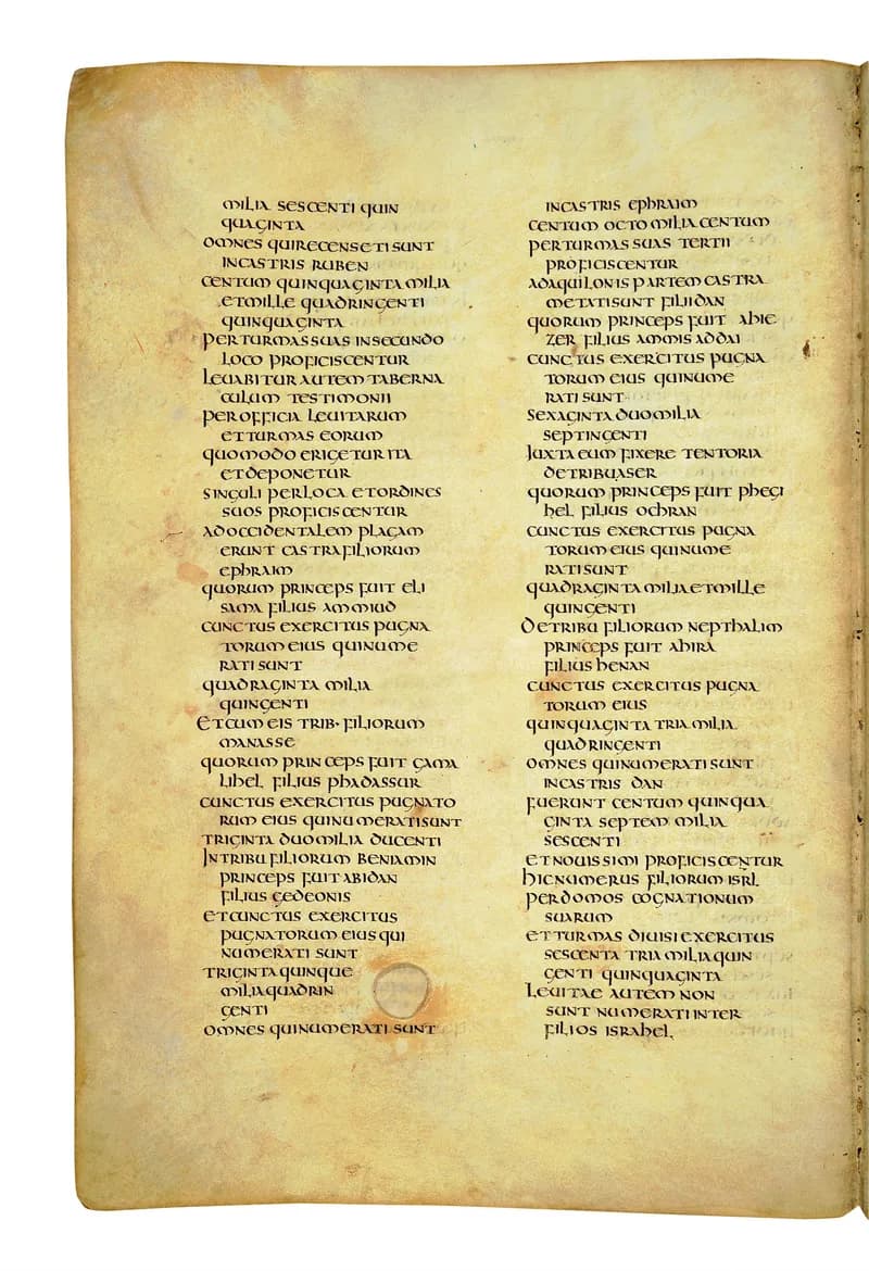 Codex Amiatinus, Numbers 26 (canvas 224) by Master of the Codex Amiatinus (Monkwearmouth-Jarrow scriptorium) depicting Numbers 26