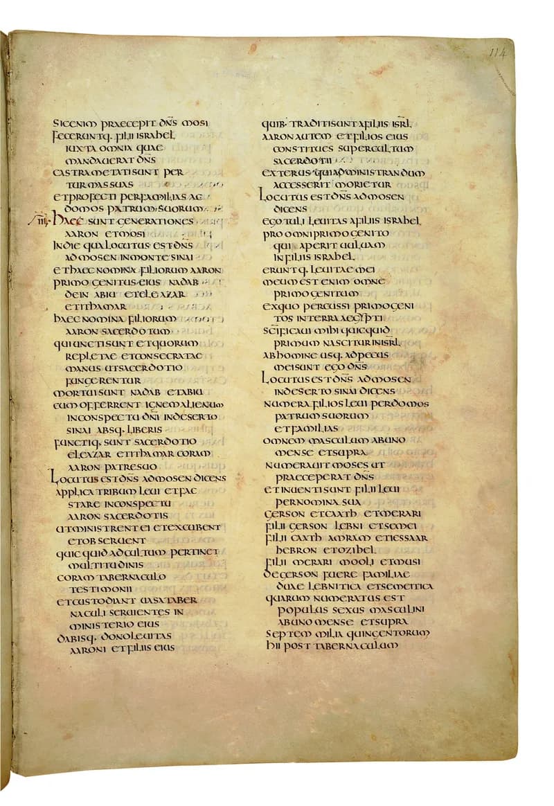 Codex Amiatinus, Numbers 27 (canvas 225) by Master of the Codex Amiatinus (Monkwearmouth-Jarrow scriptorium) depicting Numbers 27