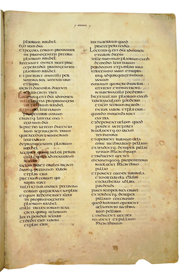 Codex Amiatinus, Numbers 28 (canvas 227) by Master of the Codex Amiatinus (Monkwearmouth-Jarrow scriptorium) depicting Numbers 28