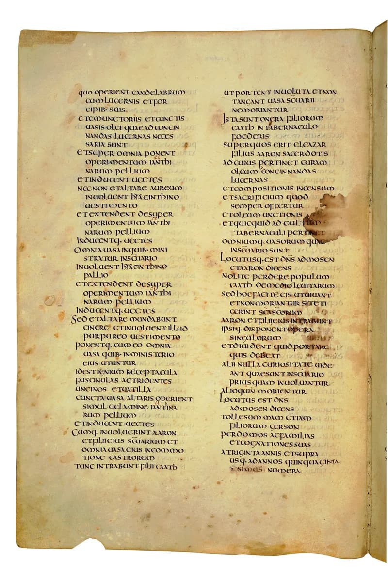 Codex Amiatinus, Numbers 29 (canvas 228) by Master of the Codex Amiatinus (Monkwearmouth-Jarrow scriptorium) depicting Numbers 29