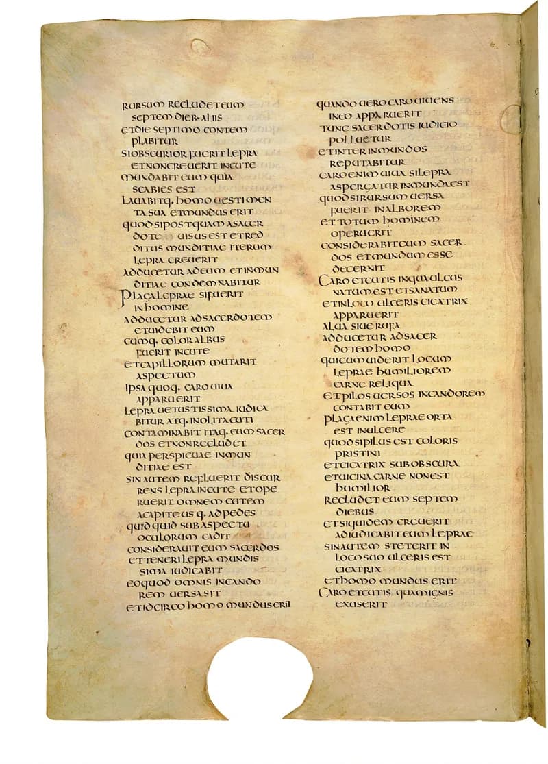 Codex Amiatinus, Numbers 3 (canvas 188) by Master of the Codex Amiatinus (Monkwearmouth-Jarrow scriptorium) depicting Numbers 3
