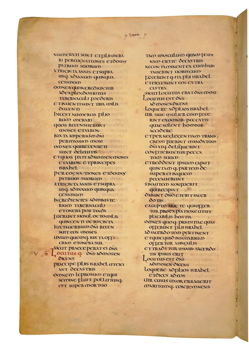 Codex Amiatinus, Numbers 30 (canvas 230) by Master of the Codex Amiatinus (Monkwearmouth-Jarrow scriptorium) depicting Numbers 30
