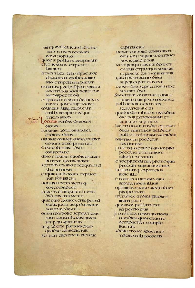 Codex Amiatinus, Numbers 31 (canvas 232) by Master of the Codex Amiatinus (Monkwearmouth-Jarrow scriptorium) depicting Numbers 31