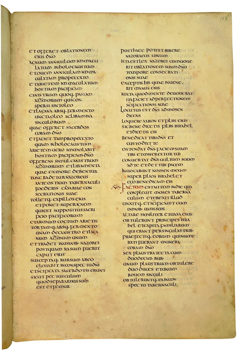 Codex Amiatinus, Numbers 32 (canvas 233) by Master of the Codex Amiatinus (Monkwearmouth-Jarrow scriptorium) depicting Numbers 32