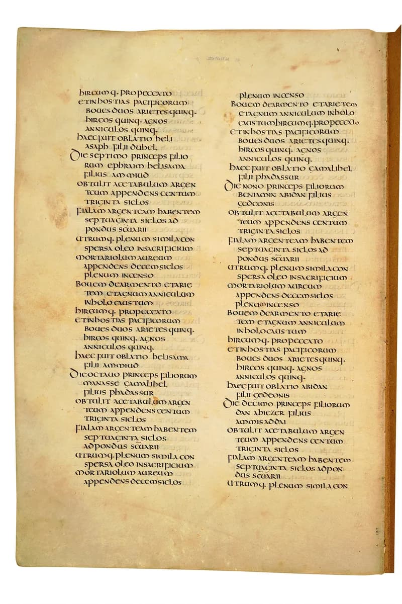 Codex Amiatinus, Numbers 34 (canvas 236) by Master of the Codex Amiatinus (Monkwearmouth-Jarrow scriptorium) depicting Numbers 34