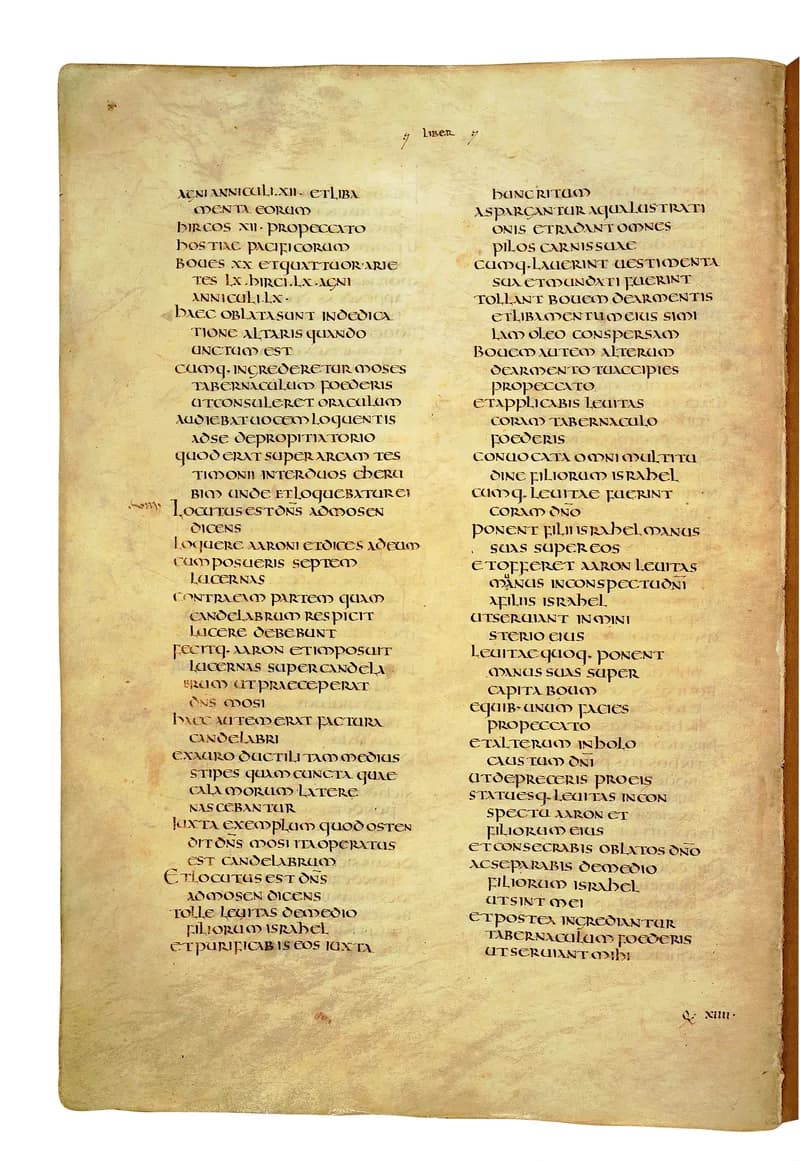 Codex Amiatinus, Numbers 35 (canvas 238) by Master of the Codex Amiatinus (Monkwearmouth-Jarrow scriptorium) depicting Numbers 35
