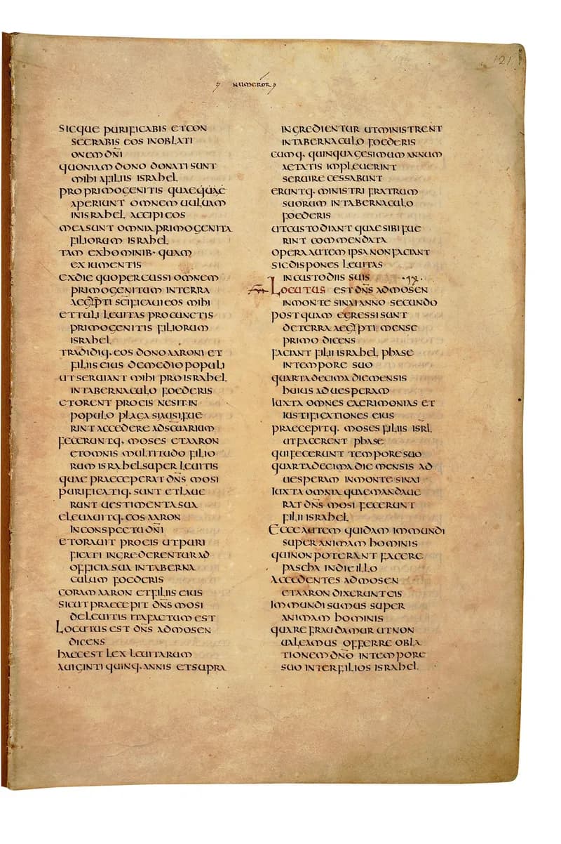 Codex Amiatinus, Numbers 36 (canvas 239) by Master of the Codex Amiatinus (Monkwearmouth-Jarrow scriptorium) depicting Numbers 36