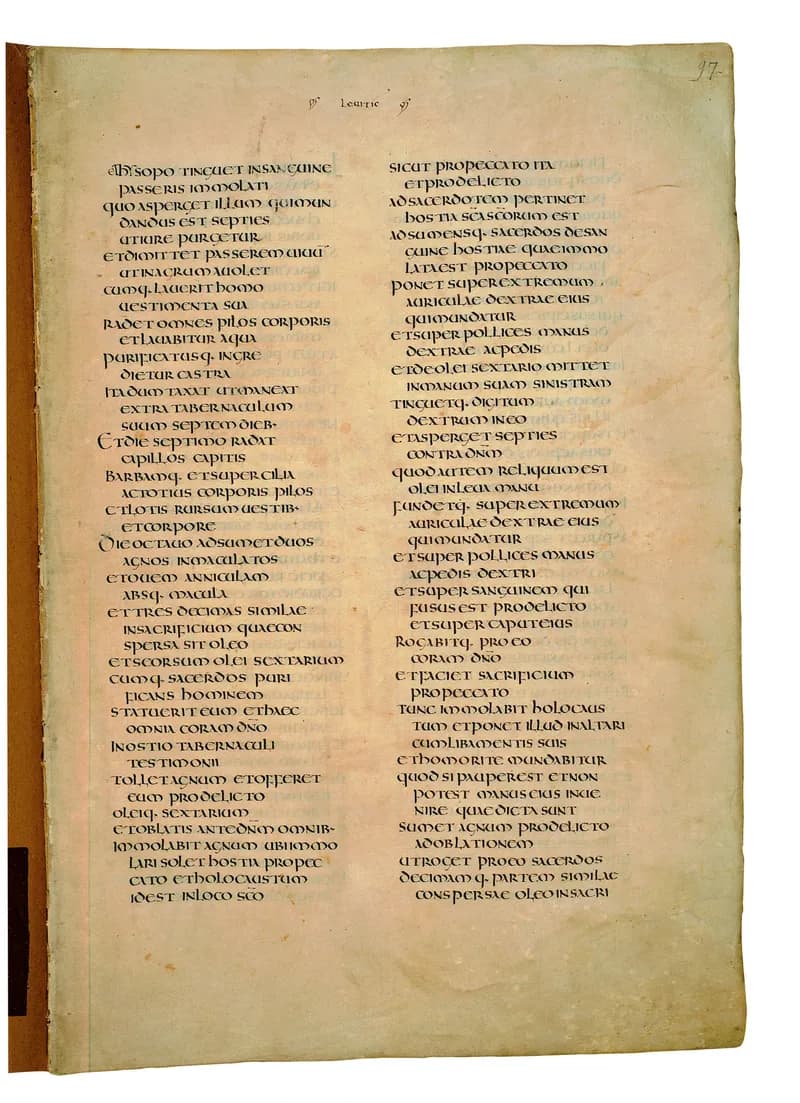 Codex Amiatinus, Numbers 5 (canvas 191) by Master of the Codex Amiatinus (Monkwearmouth-Jarrow scriptorium) depicting Numbers 5