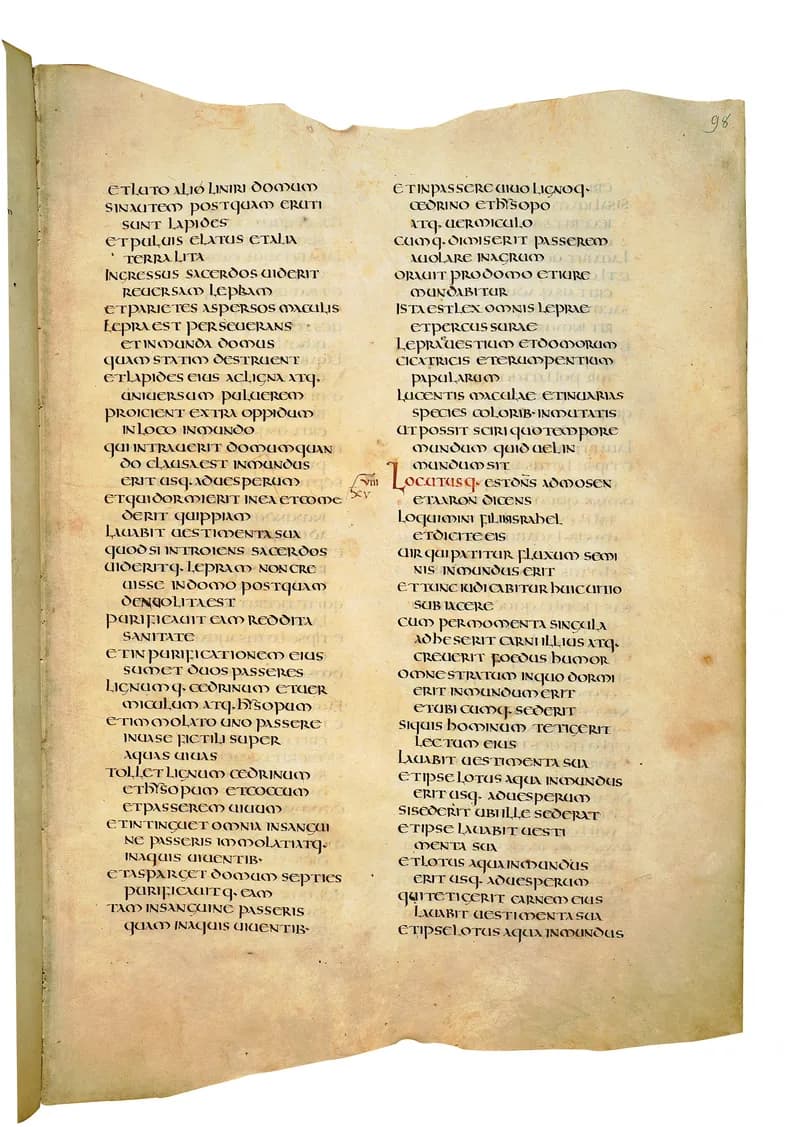 Codex Amiatinus, Numbers 6 (canvas 193) by Master of the Codex Amiatinus (Monkwearmouth-Jarrow scriptorium) depicting Numbers 6