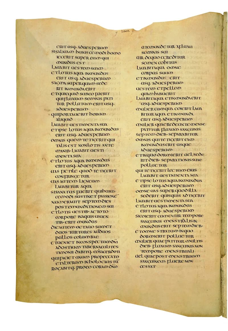 Codex Amiatinus, Numbers 7 (canvas 194) by Master of the Codex Amiatinus (Monkwearmouth-Jarrow scriptorium) depicting Numbers 7