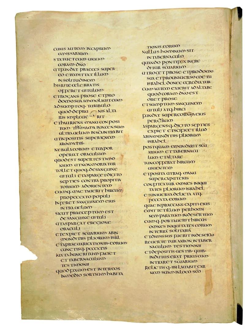 Codex Amiatinus, Numbers 8 (canvas 196) by Master of the Codex Amiatinus (Monkwearmouth-Jarrow scriptorium) depicting Numbers 8