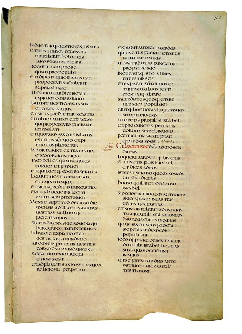 Codex Amiatinus, Numbers 9 (canvas 197) by Master of the Codex Amiatinus (Monkwearmouth-Jarrow scriptorium) depicting Numbers 9