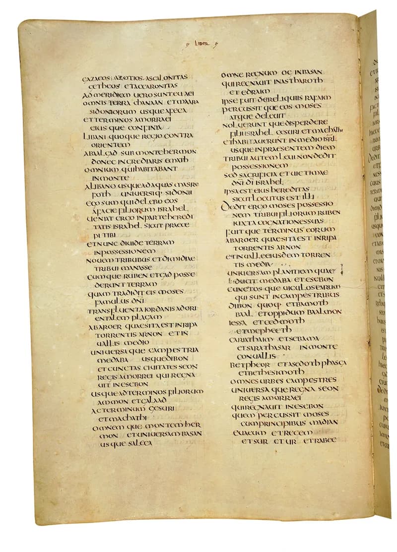 Codex Amiatinus, Ruth 4 (canvas 368) by Master of the Codex Amiatinus (Monkwearmouth-Jarrow scriptorium) depicting Ruth 4
