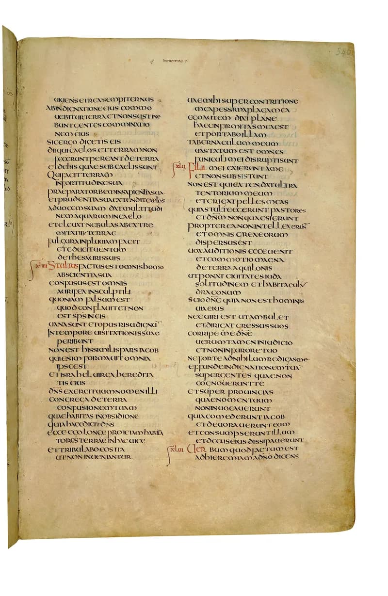 Codex Amiatinus, Song of Solomon 1 (canvas 1089) by Master of the Codex Amiatinus (Monkwearmouth-Jarrow scriptorium) depicting Song of Solomon 1