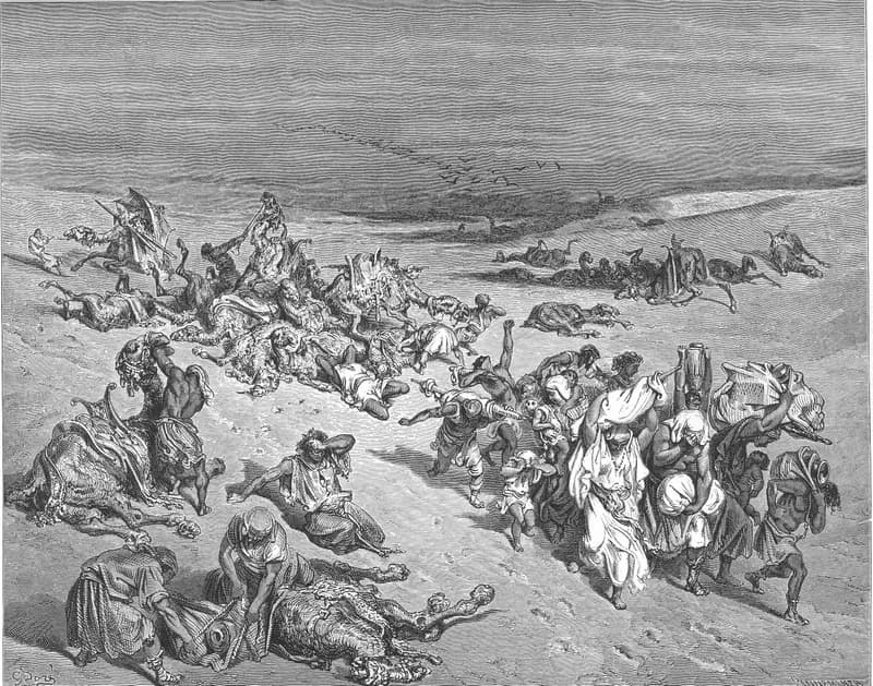 The Fifth Plague. Livestock Disease by Gustave Doré depicting Exodus 9:1