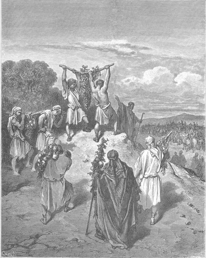 The Spies Return from the Promised Land by Gustave Doré depicting Numbers 13:17
