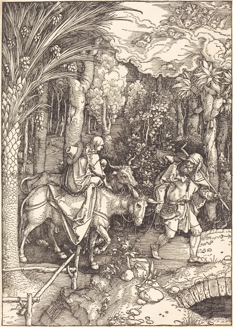 The Flight into Egypt by Albrecht Dürer depicting Matthew 2:13