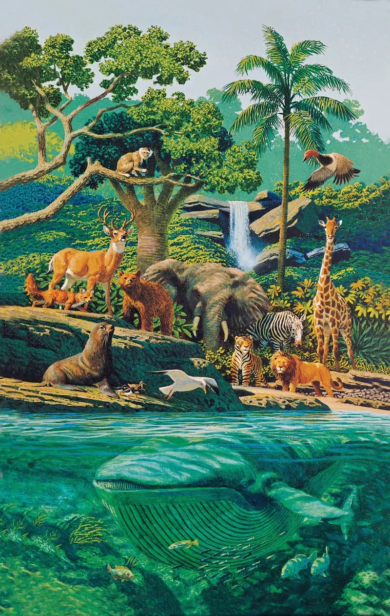 Creation—Living Creatures by Stanley Galli depicting Genesis 1:20