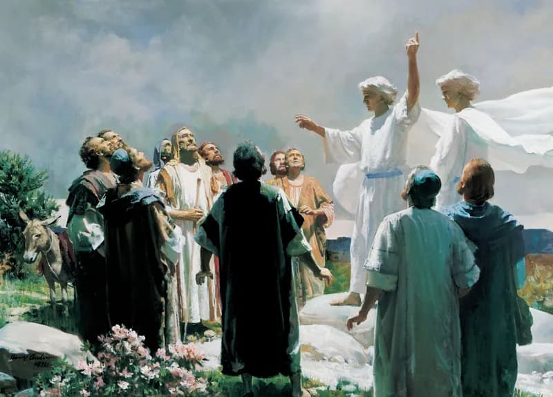 The Ascension of Jesus (The Ascension) by Harry Anderson depicting Acts 1:9