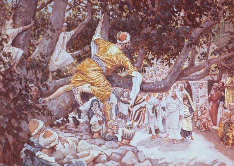 Zacchaeus in the Sycamore Tree by James Tissot depicting Luke 19:1
