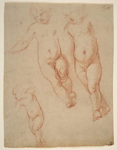 Studies of the Christ Child by Raffaello Sanzio da Urbino depicting Luke 2