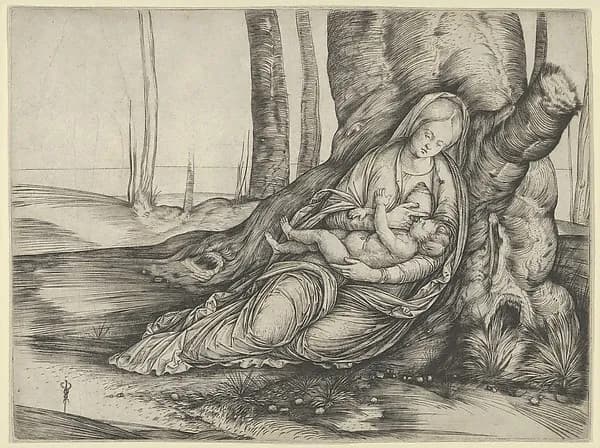 The Madonna nursing the Christ Child at the foot of a tree by Jacopo de' Barbari depicting Luke 2