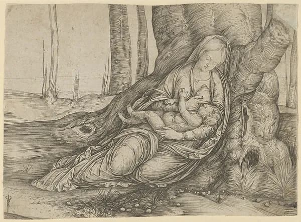 The Madonna nursing the Christ Child at the foot of a tree by Jacopo de' Barbari depicting Luke 2