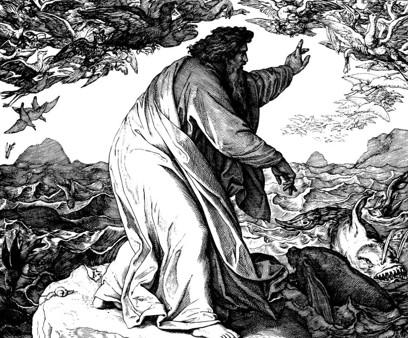 Fifth Day of Creation — Fish and Birds by Julius Schnorr von Carolsfeld depicting Genesis 1:20