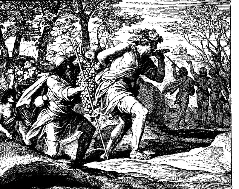 The Spies of Canaan by Julius Schnorr von Carolsfeld depicting Numbers 13:17